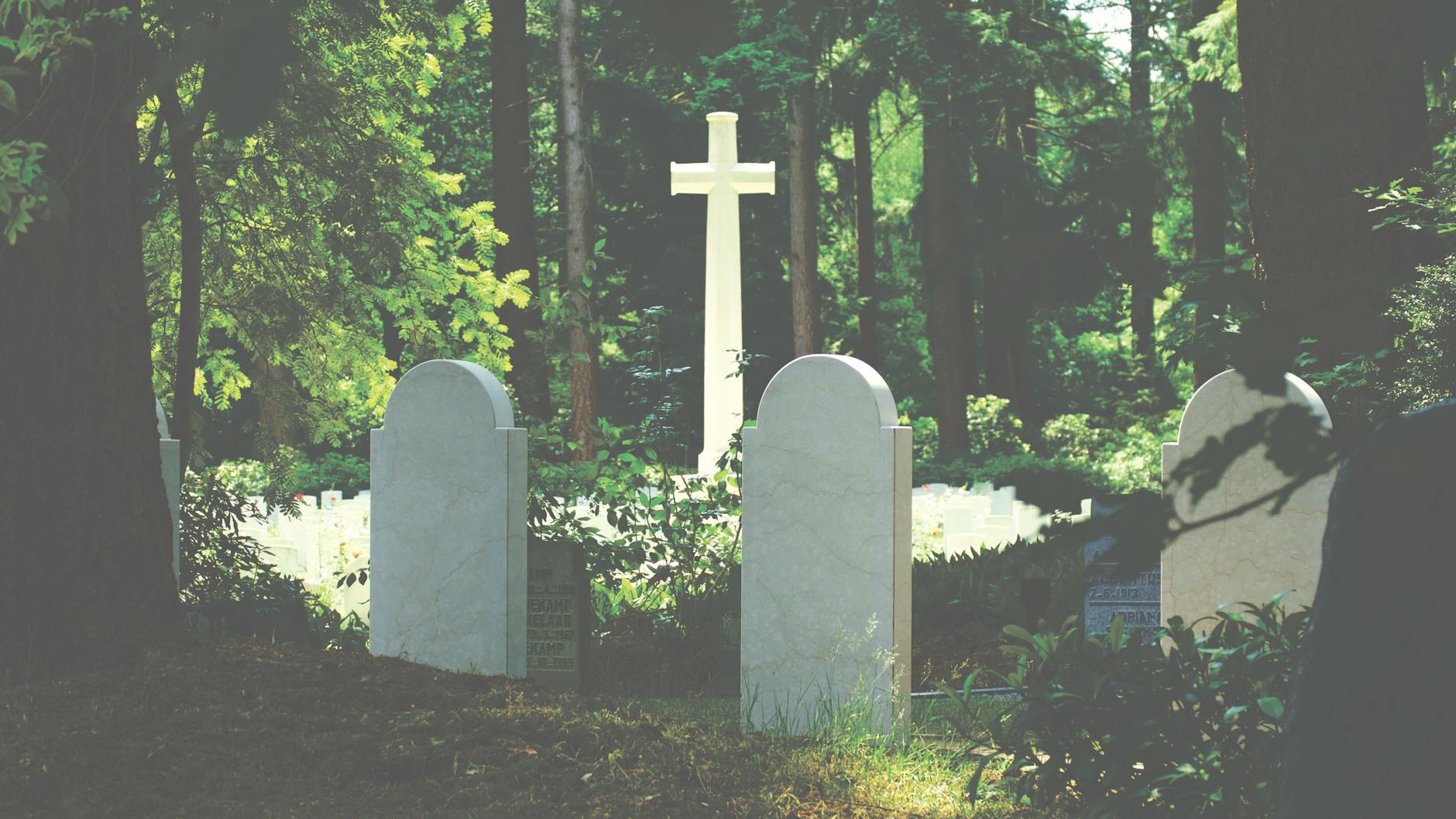 white tombstone near cross surrounded by trees