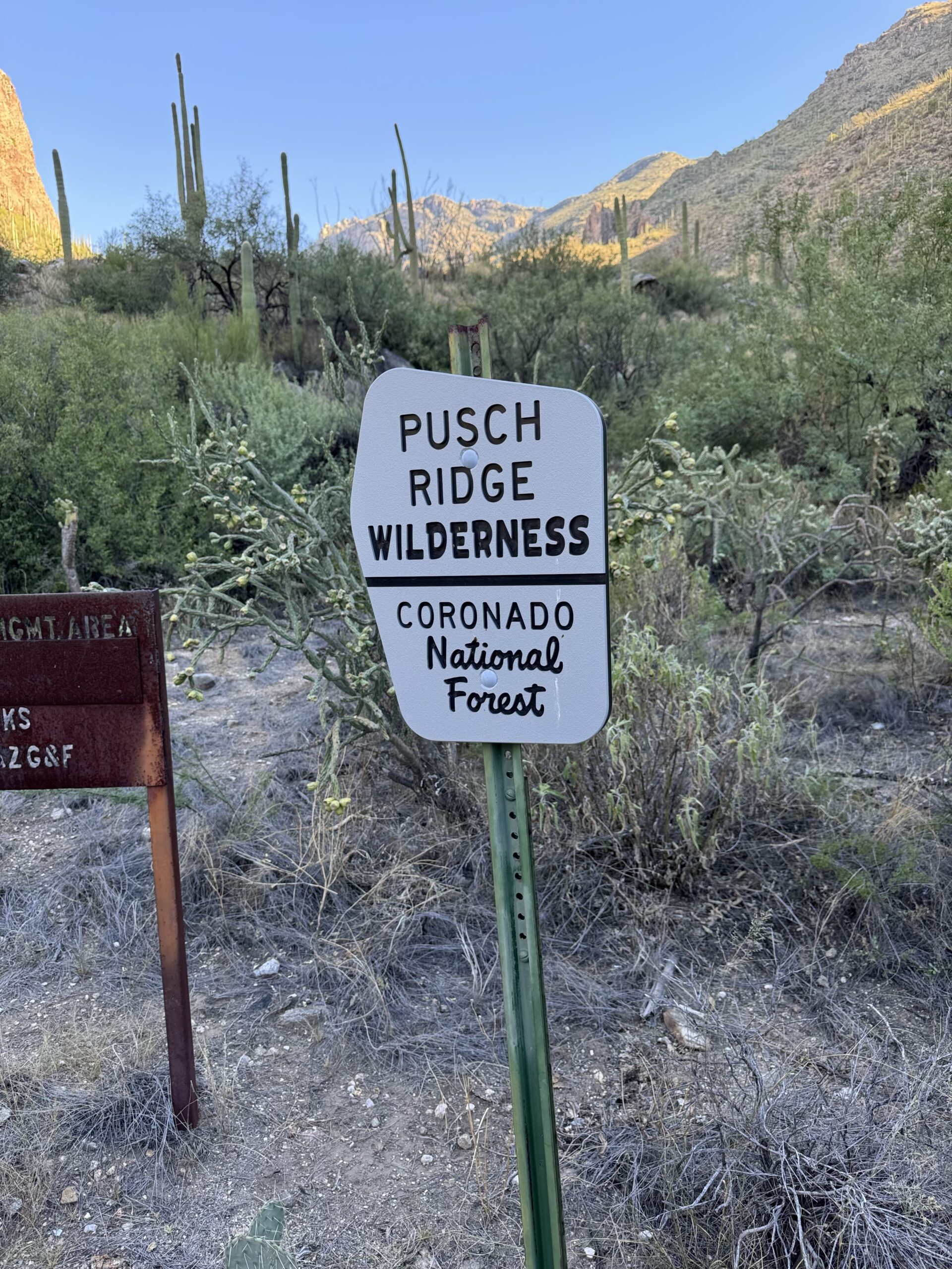 pusch ridge near sabino recovery center in tucson, az