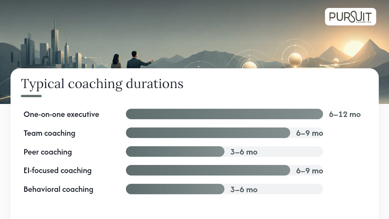 Which coaching format fits your situation — overview diagram