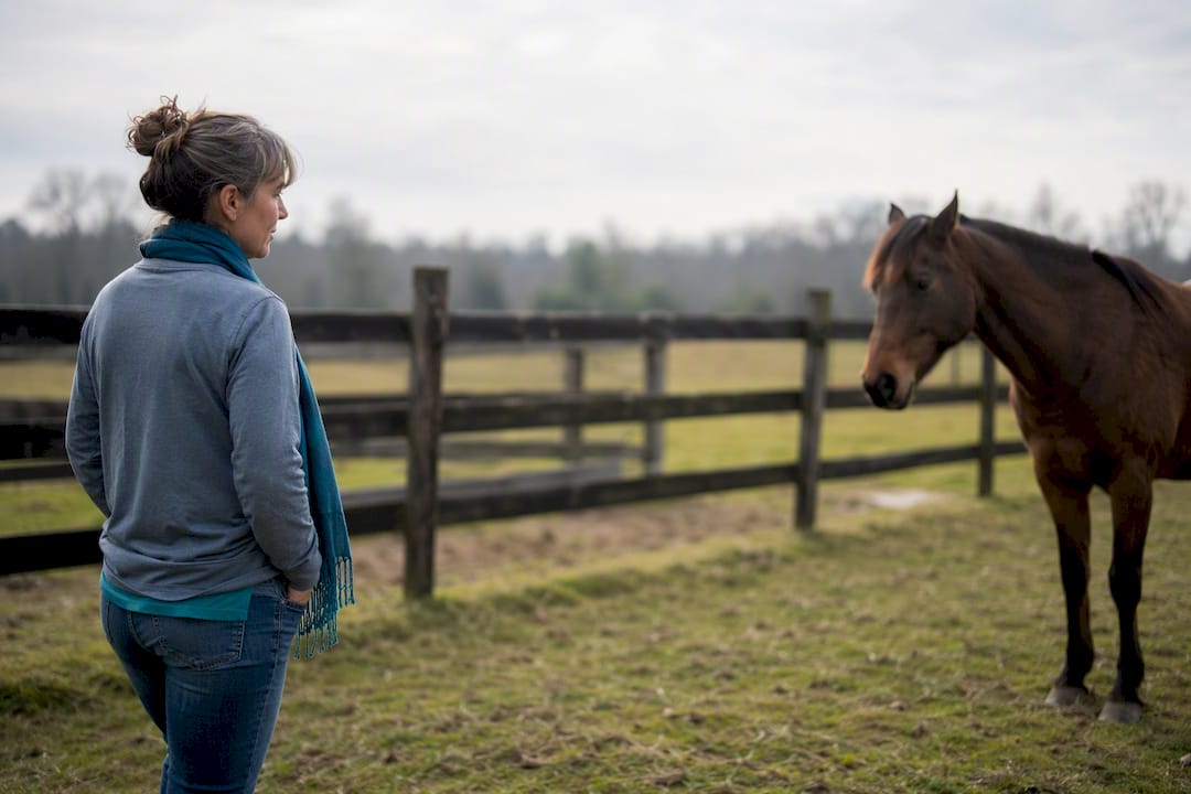 Adult calmly approaching horse in paddock
