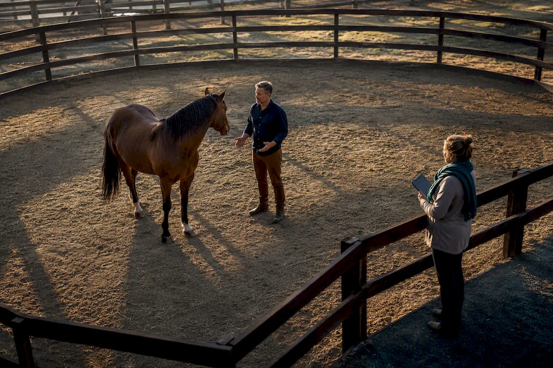 Executive practicing ground-based equine therapy
