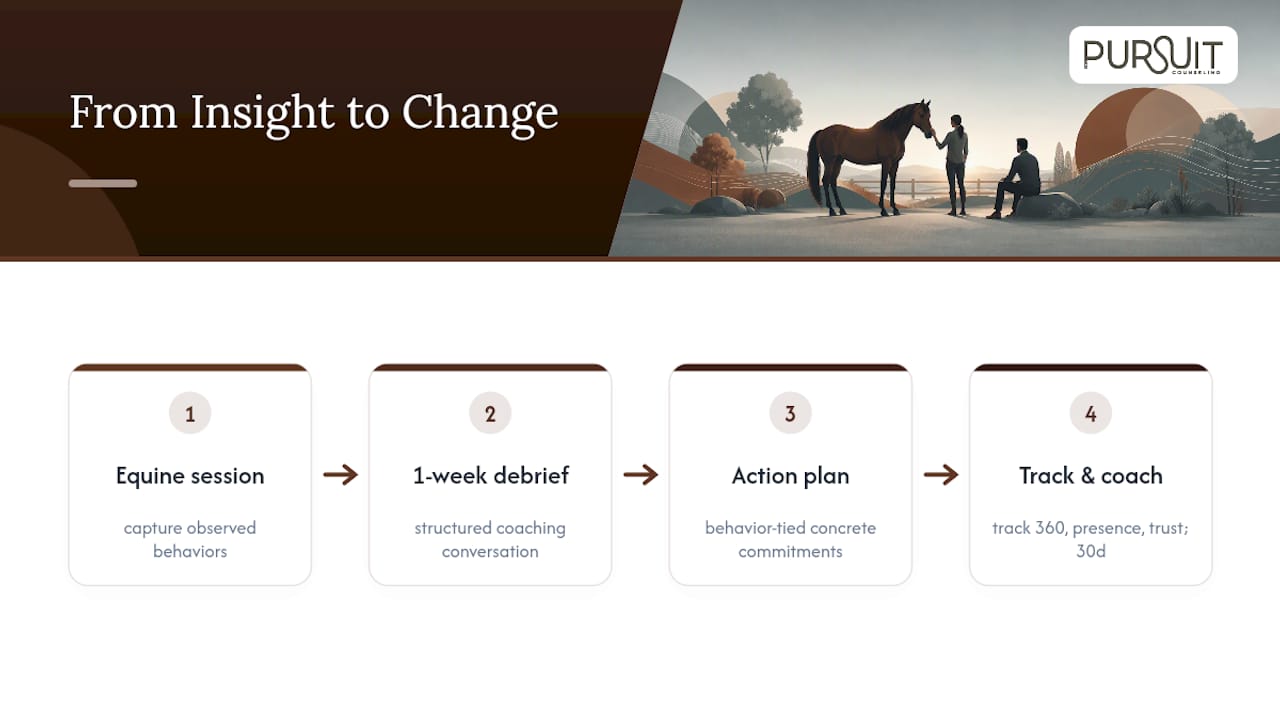 Process from equine insight to workplace change
