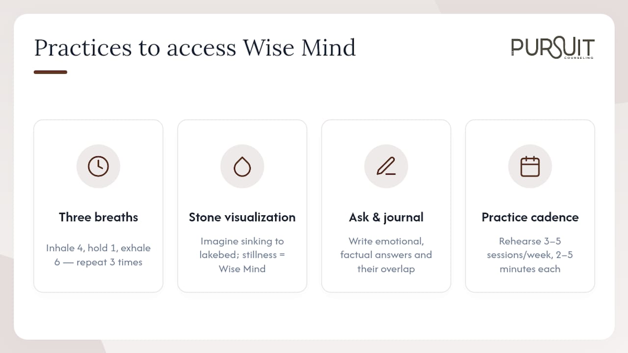 How Do You Practice Accessing Wise Mind? — overview diagram